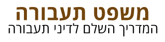 לוגו - משפט תעבורה